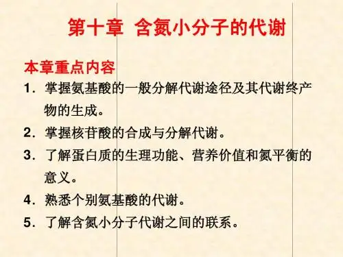 第10章 含氮小分子的代谢