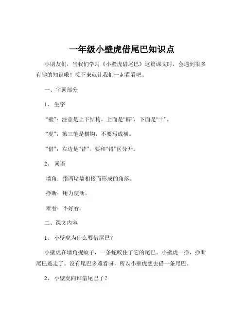 一年级小壁虎借尾巴知识点