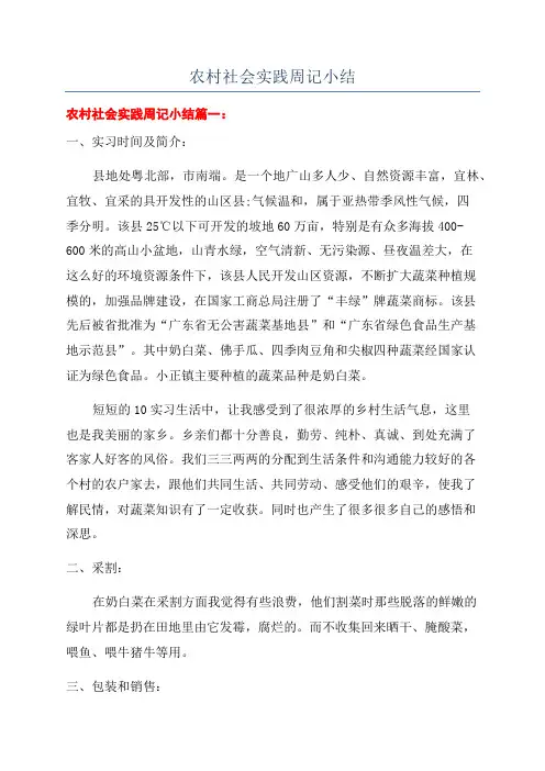 农村社会实践周记小结