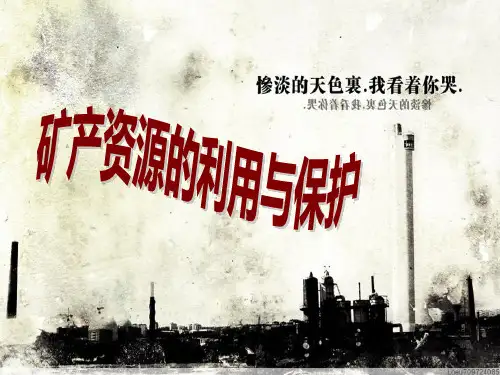 矿产资源利用与保护..