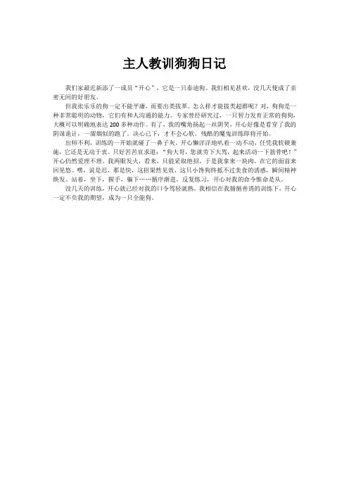 主人教训狗狗日记