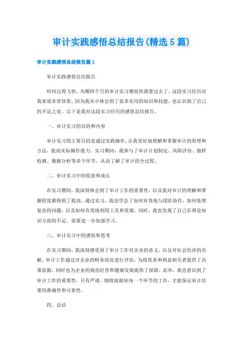 审计实践感悟总结报告(精选5篇)