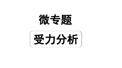 2024成都中考物理二轮专题复习 微专题 受力分析(课件)