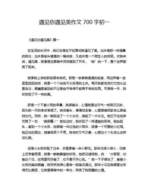 遇见你遇见美作文700字初一