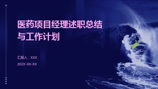 医药项目经理述职总结和工作计划PPT