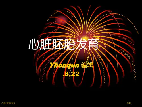 心脏的胚胎发育