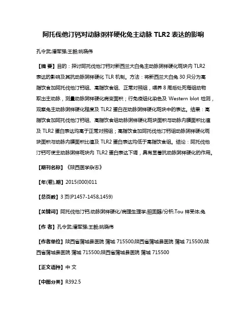 阿托伐他汀钙对动脉粥样硬化兔主动脉 TLR2表达的影响