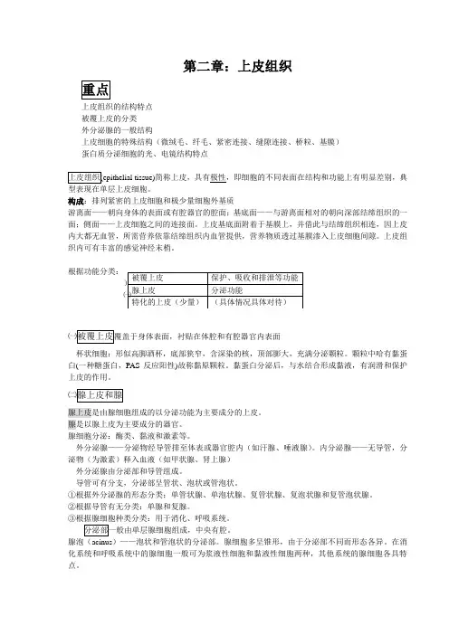 组胚重点总结上皮组织