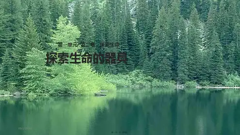 七年级生物上册 1.2.1《探索生命的器具》课件