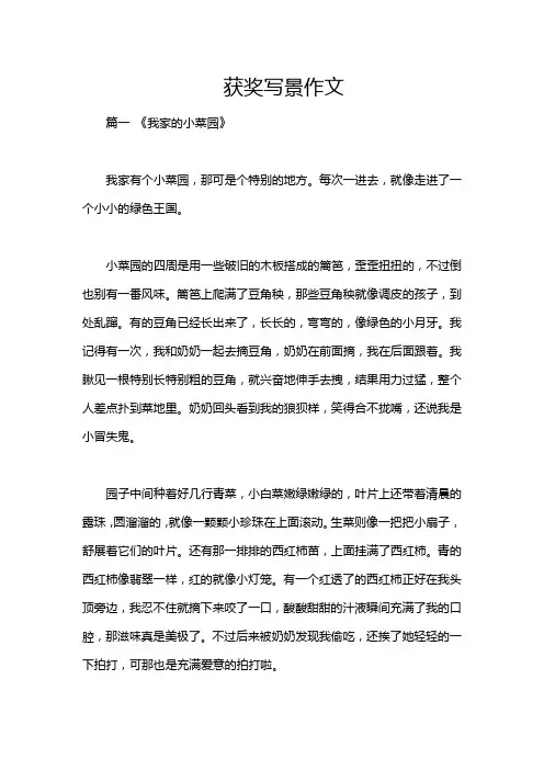 获奖写景作文