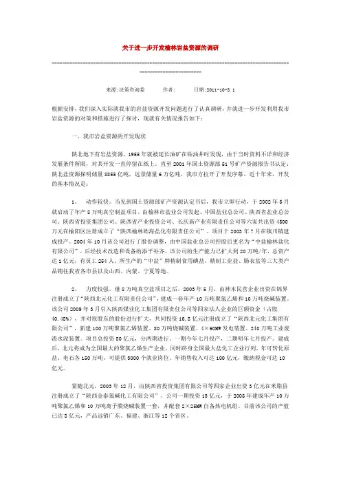 关于进一步开发榆林岩盐资源的调研