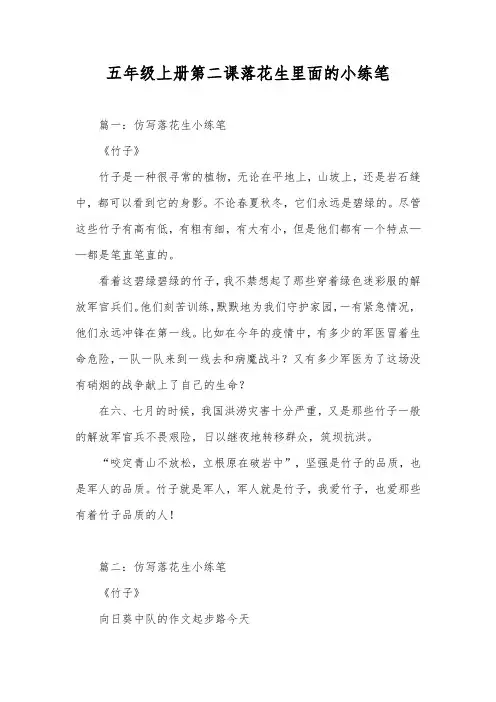 五年级上册第二课落花生里面的小练笔。竹子,梅花,蜜蜂,路灯的意思。