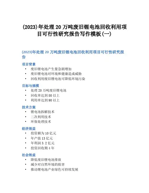 (2023)年处理20万吨废旧锂电池回收利用项目可行性研究报告写作模板(一)