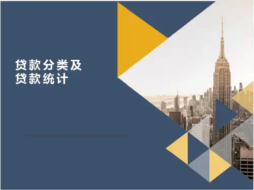 贷款分类及贷款统计