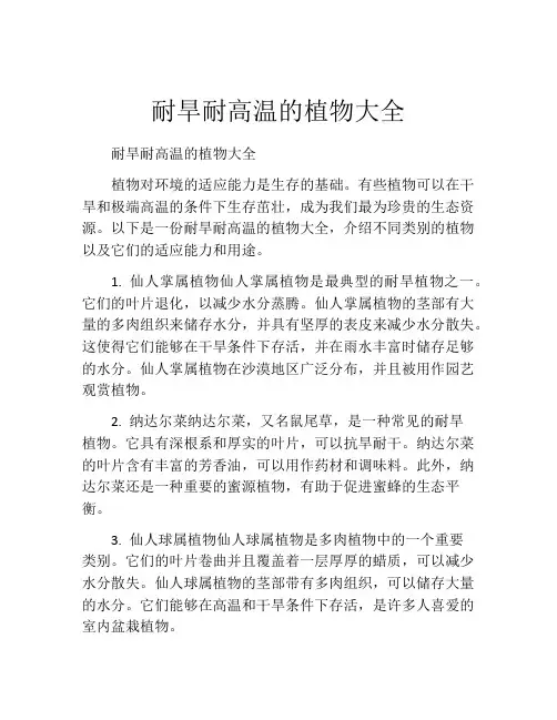 耐旱耐高温的植物大全