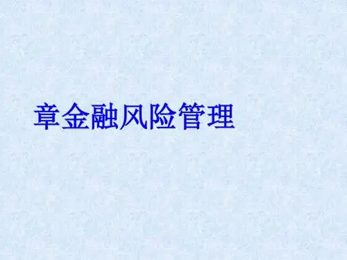 金融风险管理教材(PPT35张)