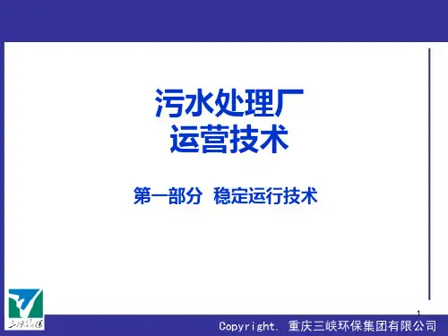 污水处理厂运营培训PPT课件