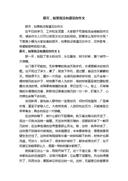 那天，如果我没有遇见你作文