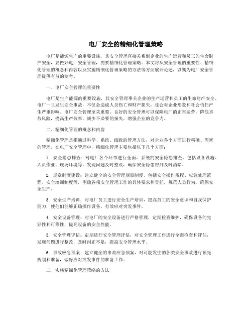 电厂安全的精细化管理策略