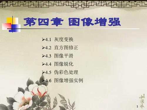 第4章图像增强1灰度变换PPT课件
