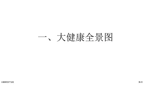 大健康相关产业链