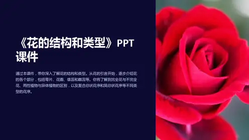 《花的结构和类型》》课件