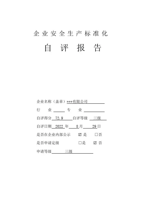 企业安全生产标准化自评报告