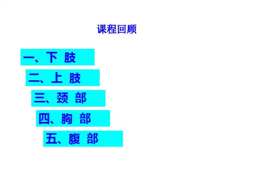 局解重点内容