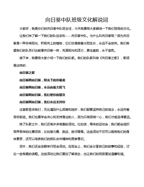 向日葵中队班级文化解说词