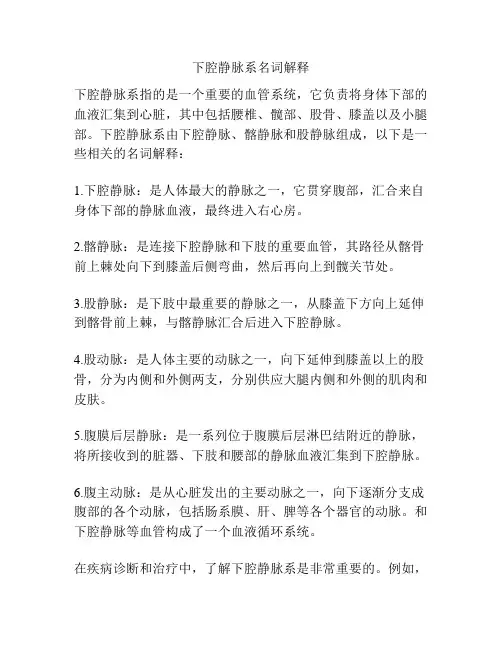 下腔静脉系名词解释