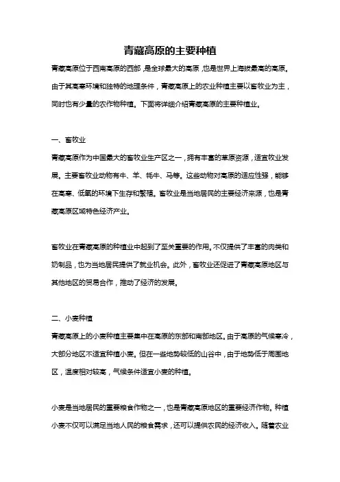 青藏高原的主要种植