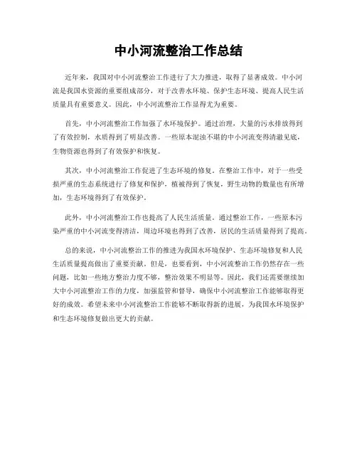 中小河流整治工作总结