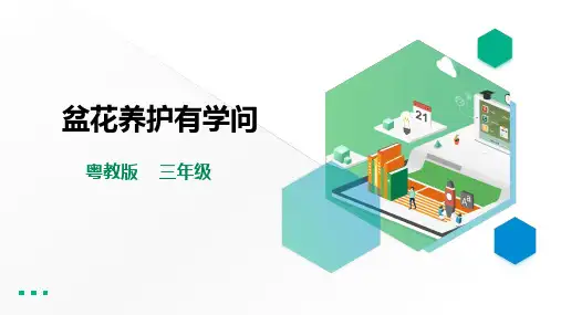 三年级全一册《劳动与技术》第四单元  活动2《盆花养护有学问》课件