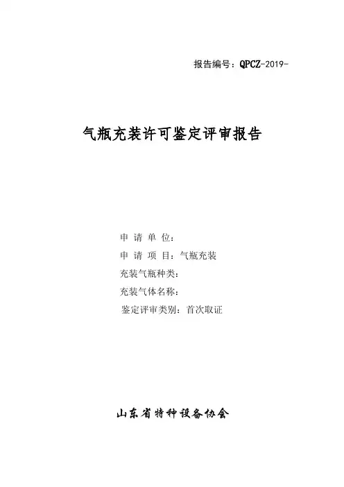 气瓶充装许可鉴定评审报告(2020.4.7)(1)