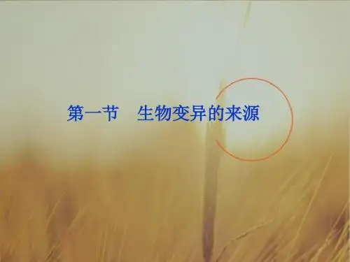 生物浙科版必修二课件：第四章第一节 生物变异的来源