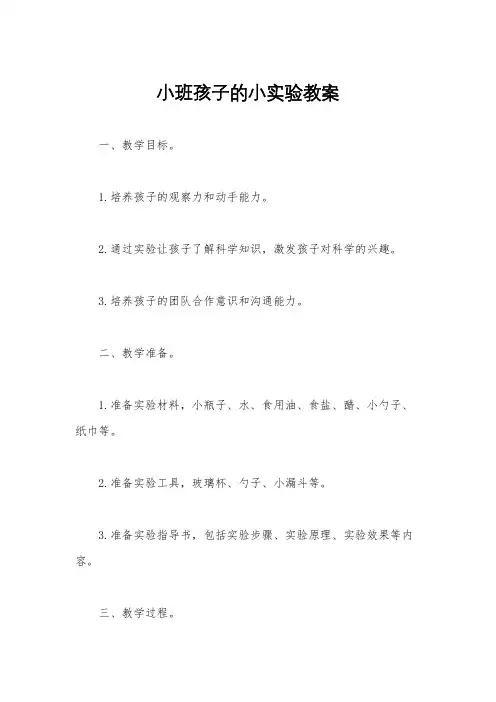 小班孩子的小实验教案