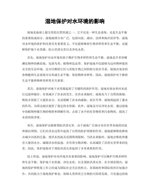 湿地保护对水环境的影响