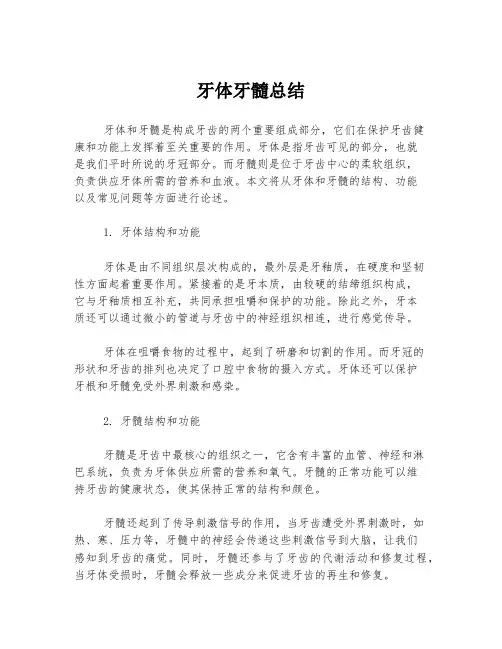 牙体牙髓总结