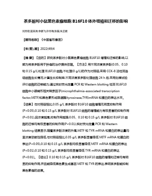 茶多酚对小鼠黑色素瘤细胞B16F10体外增殖和迁移的影响