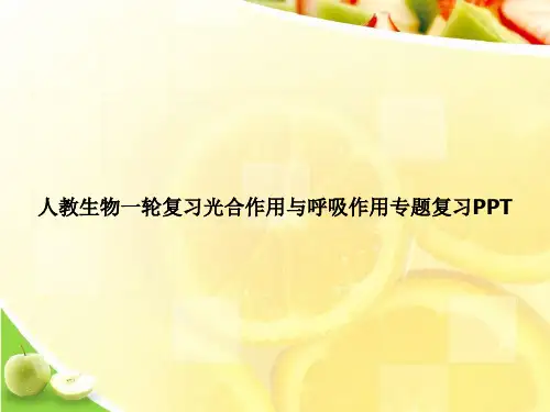 人教生物一轮复习光合作用与呼吸作用专题复习PPTppt文档