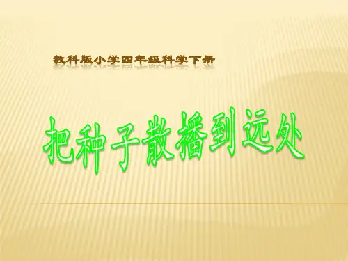 四年级下册- 把种子散播到远处 教科版ppt精品课件