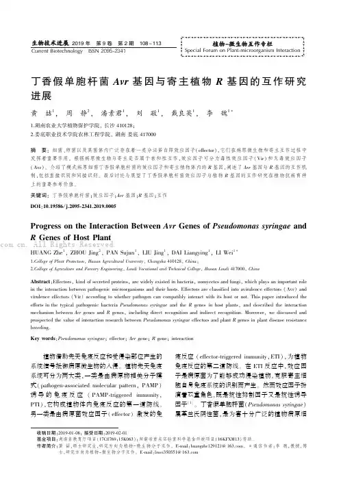 丁香假单胞杆菌Avr 基因与寄主植物R 基因的互作研究进展