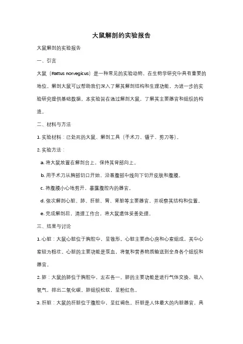 大鼠解剖的实验报告
