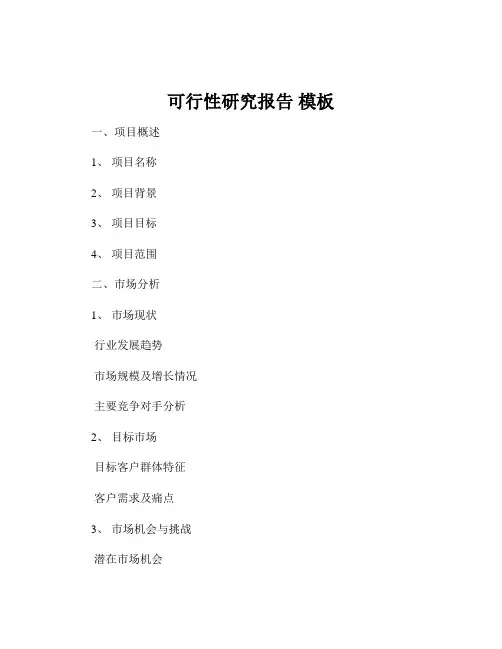 可行性研究报告 模板