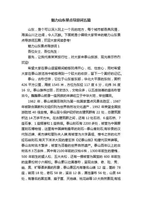 魅力山东景点导游词五篇
