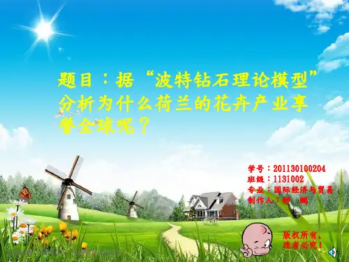 荷兰鲜花产业发展