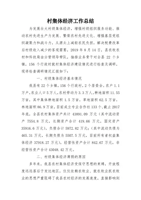 村集体经济工作总结