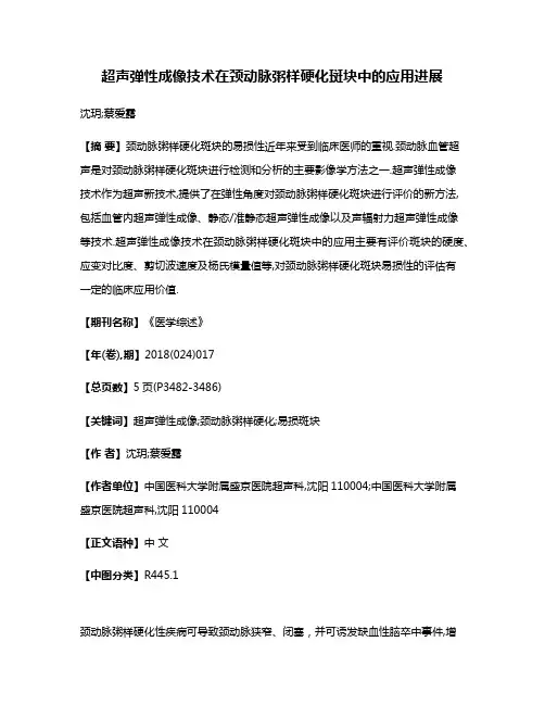 超声弹性成像技术在颈动脉粥样硬化斑块中的应用进展
