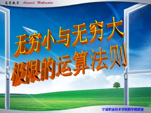 无穷小与无穷大及四则运算课件