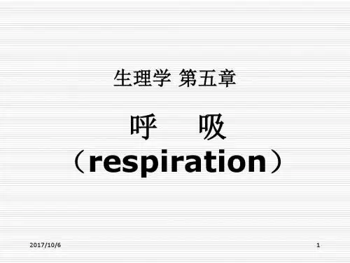 生理学 第五章呼吸课件